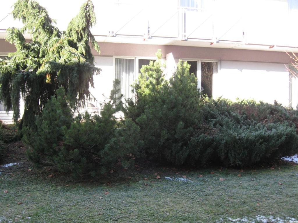 Holiday Apartments Warmbad Филах Екстериор снимка